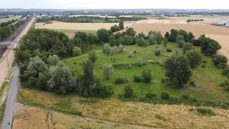 „Maisacker“ und „Grube Bergmann“ bleiben Freiflächen