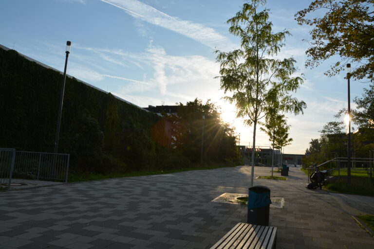 Grüne begrüßen schnelle Förderanträge