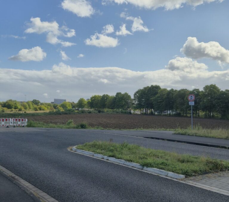 OVG Münster kippt Bebauungsplan Butterberg